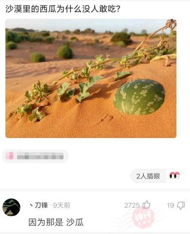 吃沙漠瓜的视频,揭秘沙漠瓜的独特魅力 第3张 吃沙漠瓜的视频,揭秘沙漠瓜的独特魅力 第3张